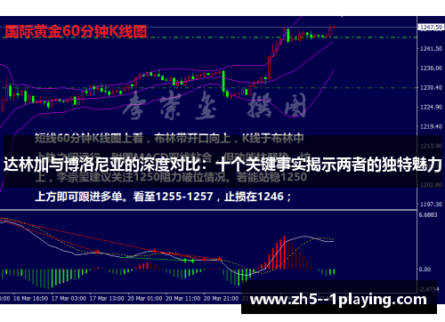 达林加与博洛尼亚的深度对比：十个关键事实揭示两者的独特魅力